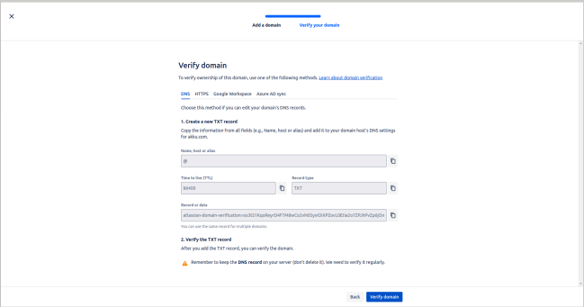 Verify Domain - Step 3